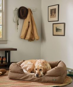 Vectorvogue.shopd3a5b6f1d8 2