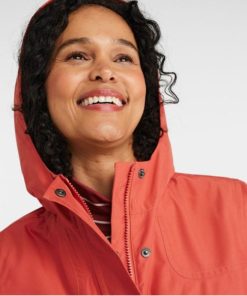 Vectorvogue.shopd6738f75cc 4