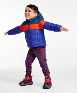 Vectorvogue.shopd84f164cd7 2