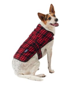 Vectorvogue.shope8d17b818c 2