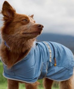 Vectorvogue.shopecd529afa0 3