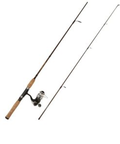 Vectorvogue.shopef89385333 2