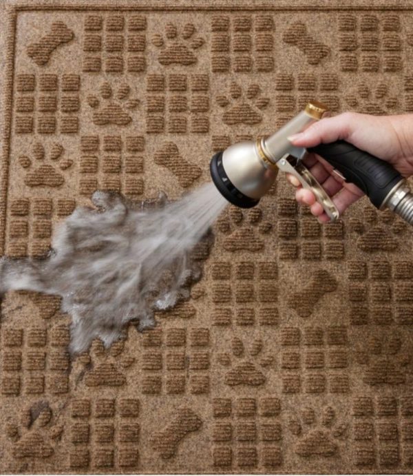 Vectorvogue.shopf47c16a688 3