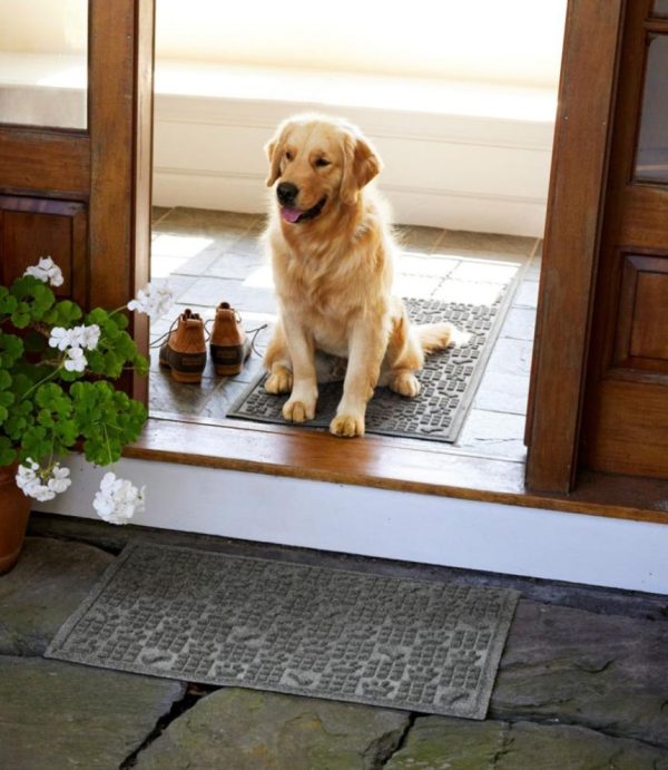 Vectorvogue.shopf47c16a688 5