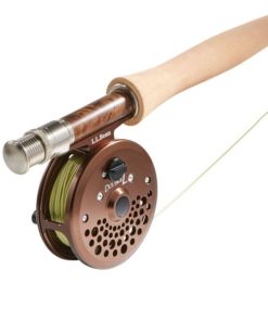 Vectorvogue.shopf8e9d17a04 3